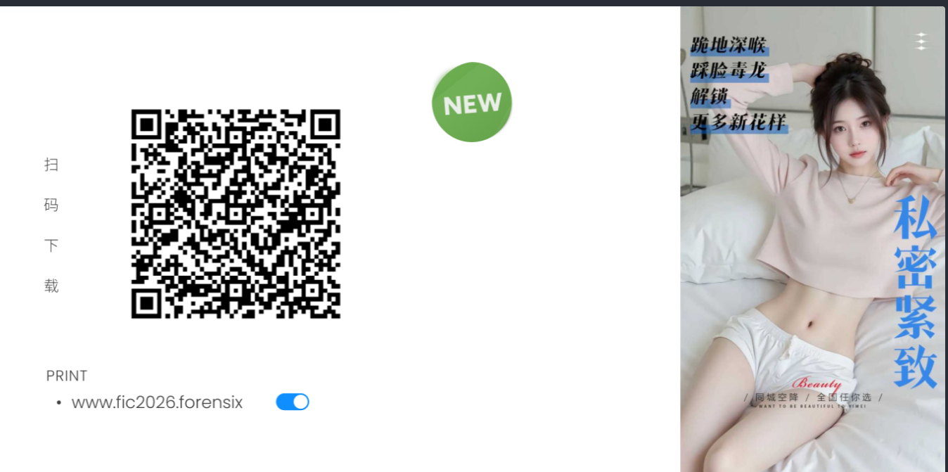 2026 FIC 初赛 WP 配图